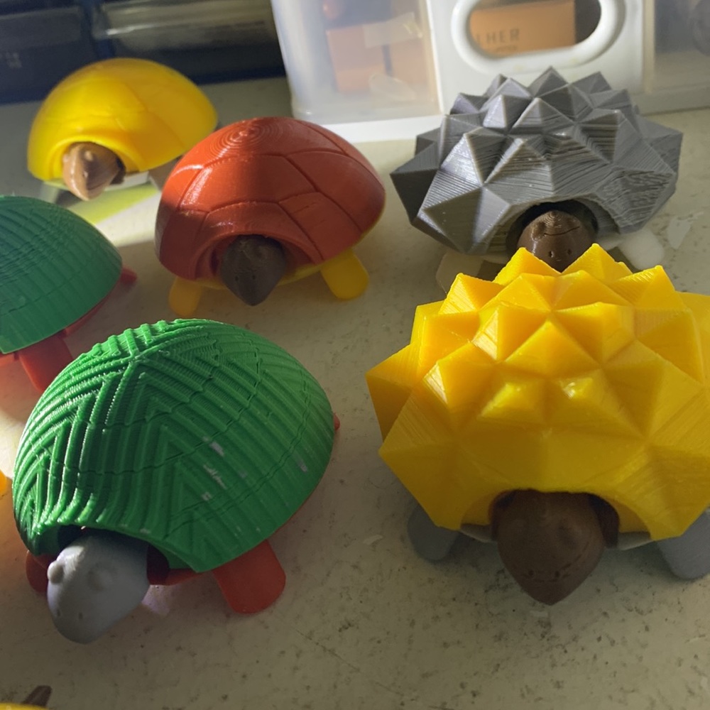 Jacobstanton 3D Print Turtles - Picture 3 of 3